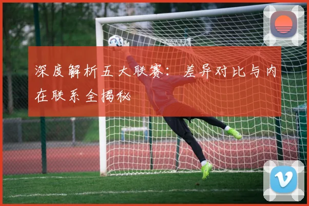 深度解析五大联赛：差异对比与内在联系全揭秘