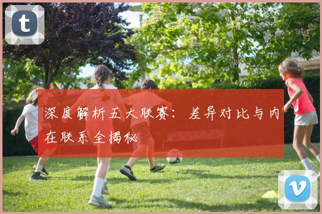 深度解析五大联赛:差异对比与内在联系全揭秘